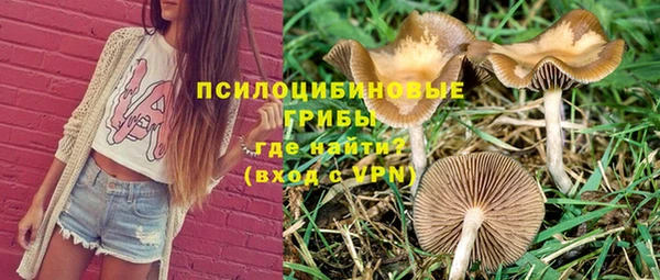 ПСИЛОЦИБИНОВЫЕ ГРИБЫ Богородск