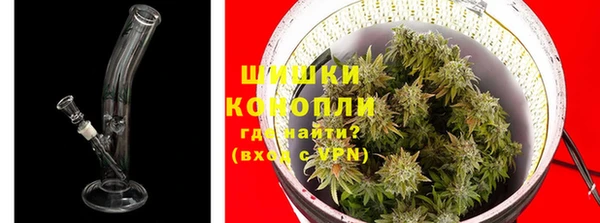 ПСИЛОЦИБИНОВЫЕ ГРИБЫ Богородск