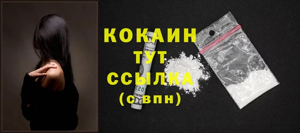 шишки Богданович