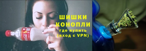 шишки Богданович